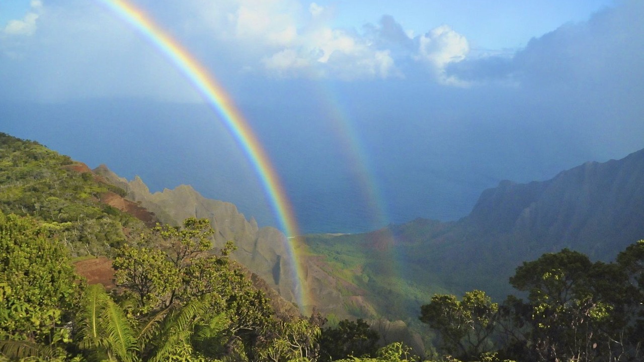 Photo of Others in Wailua
