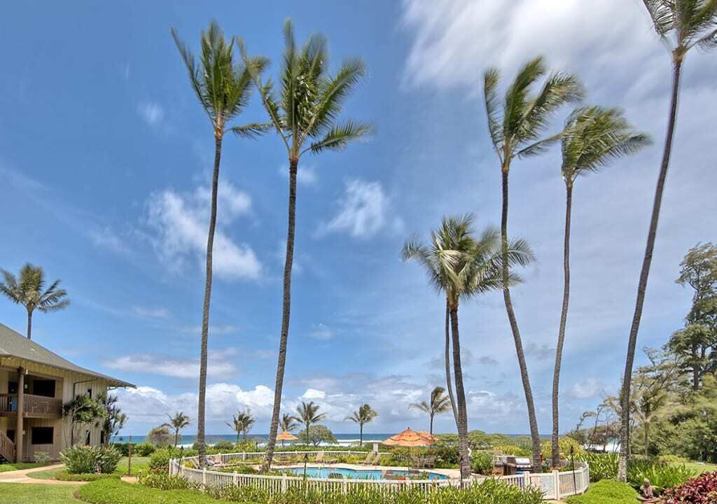 Photo of Outdoor in Lihue