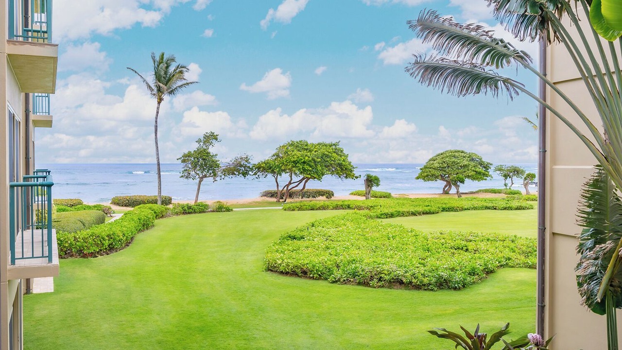 Photo of Others in Wailua