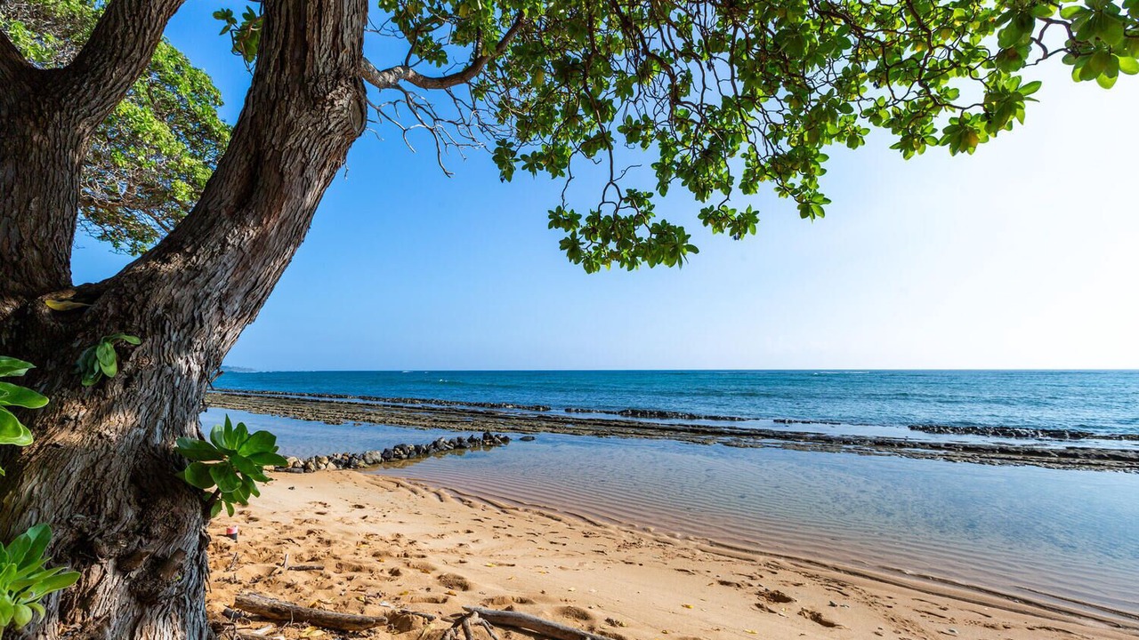 Photo of Others in Wailua