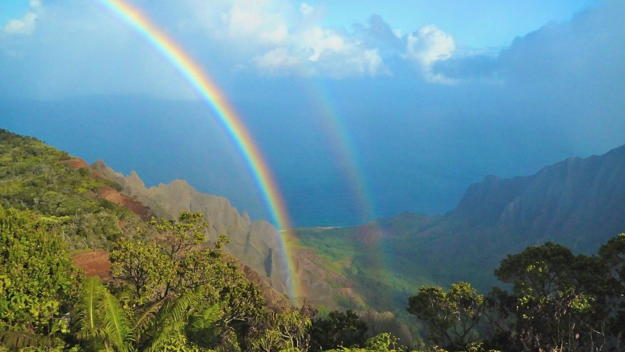 Photo of Others in Wailua