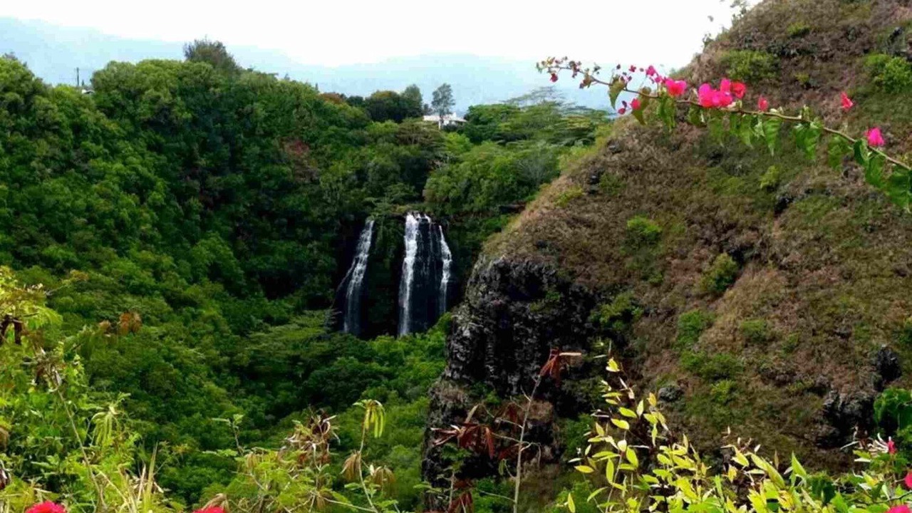 Photo of Others in Kapaa