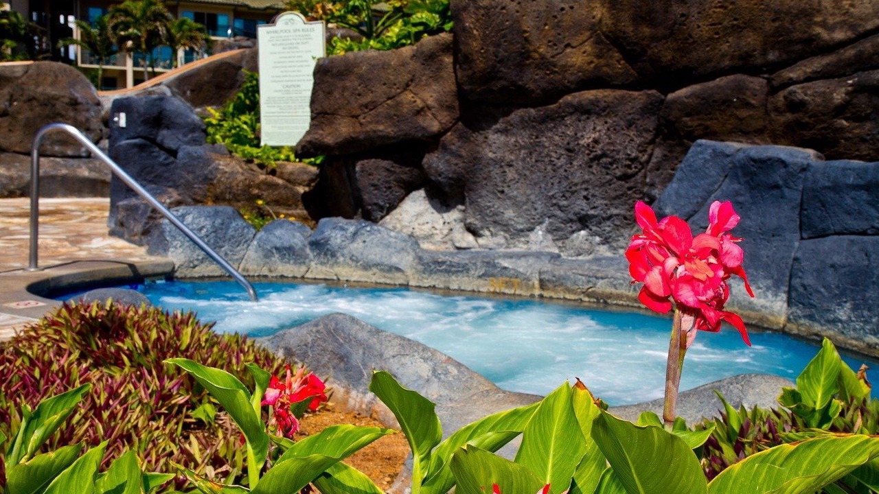 Photo of Outdoor in Wailua