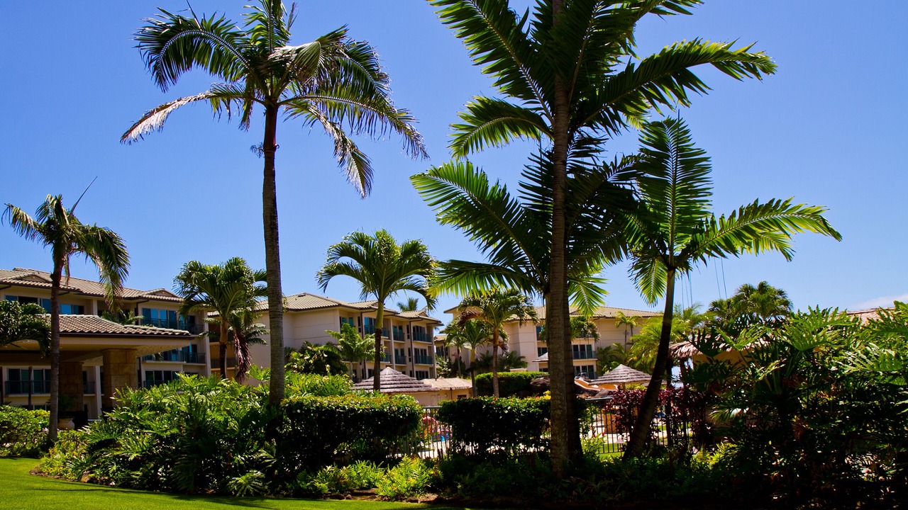 Photo of Outdoor in Wailua
