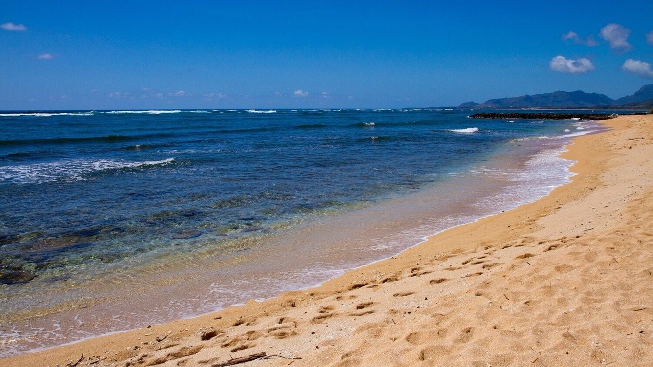 Photo of Others in Wailua