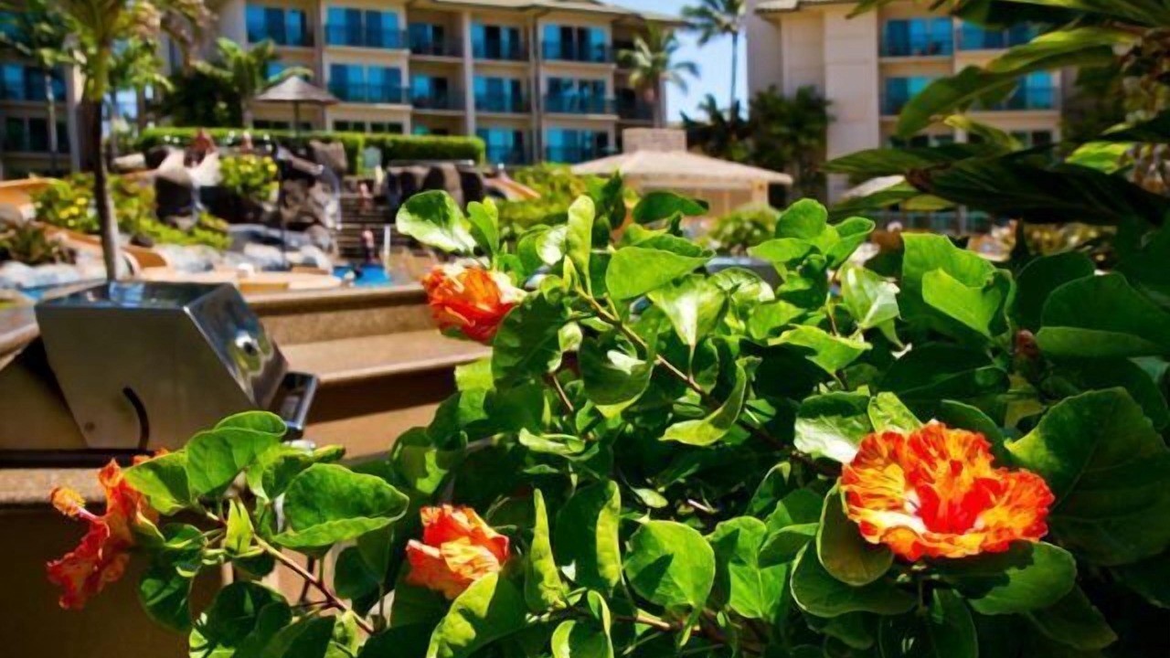 Photo of Outdoor in Wailua
