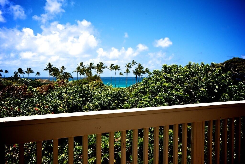 Photo of Others in Poipu