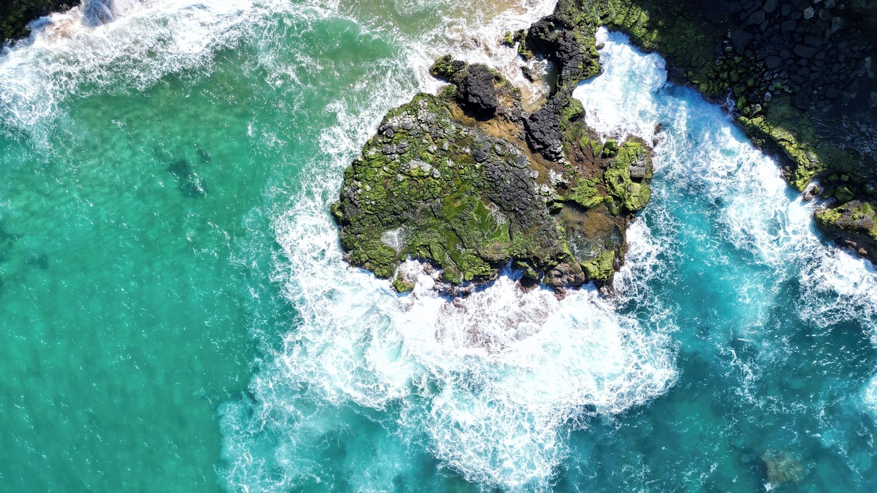 Photo of Others in Poipu