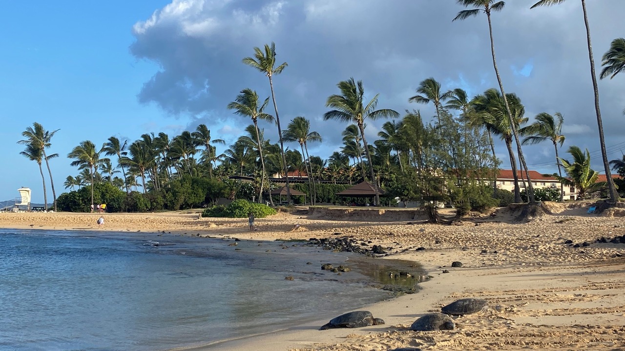Photo of Others in Poipu