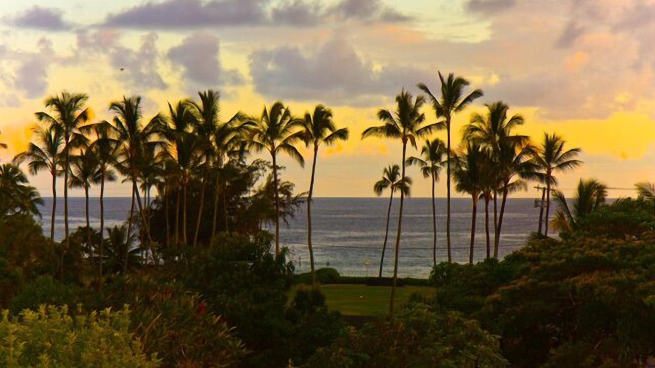 Photo of Others in Poipu