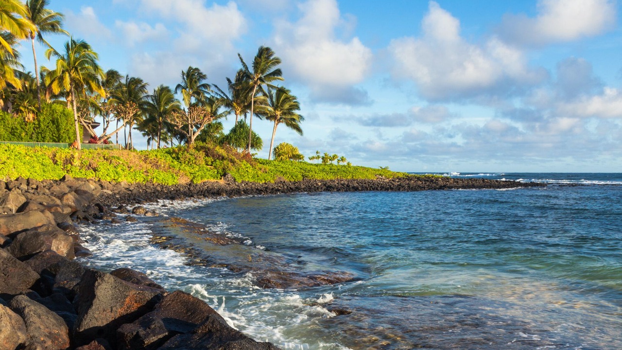 Photo of Others in Poipu