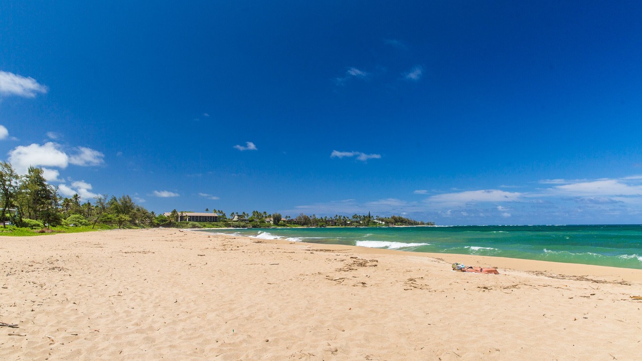 Photo of Others in Lihue