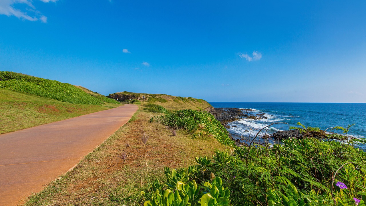 Photo of Others in Lihue
