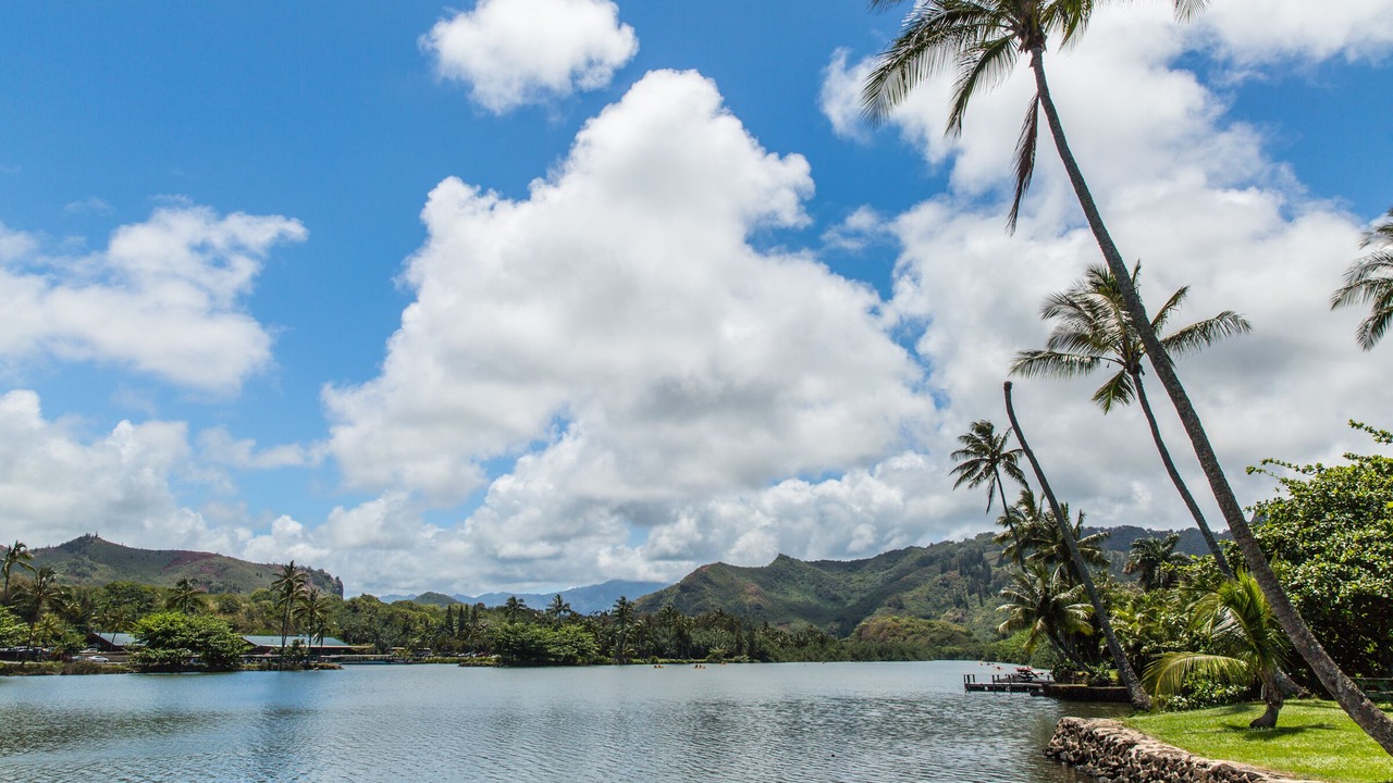 Photo of Others in Lihue