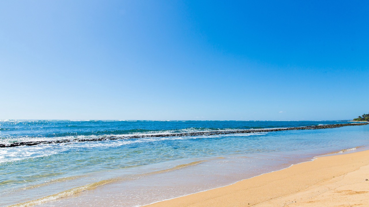 Photo of Others in Lihue