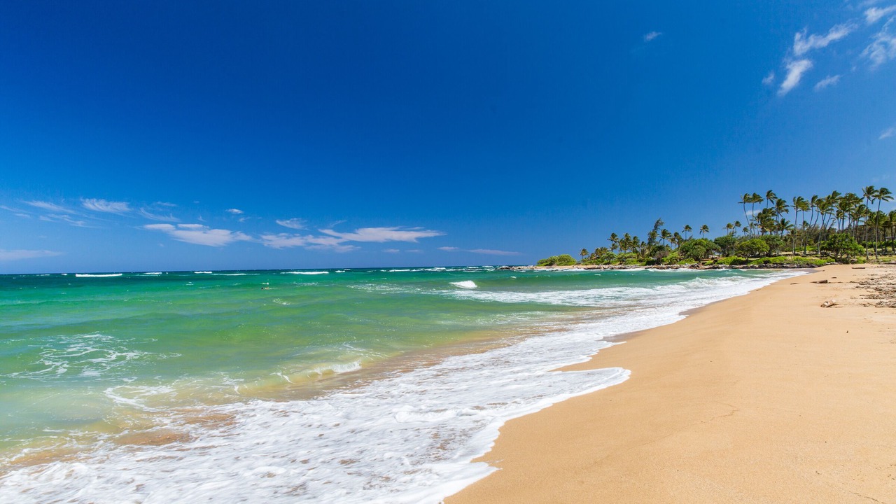 Photo of Others in Lihue