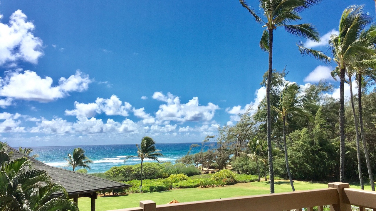 Photo of Others in Lihue