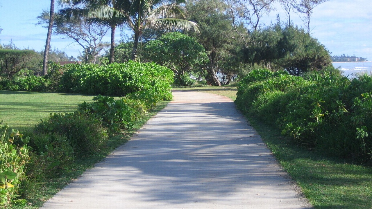 Photo of Others in Lihue