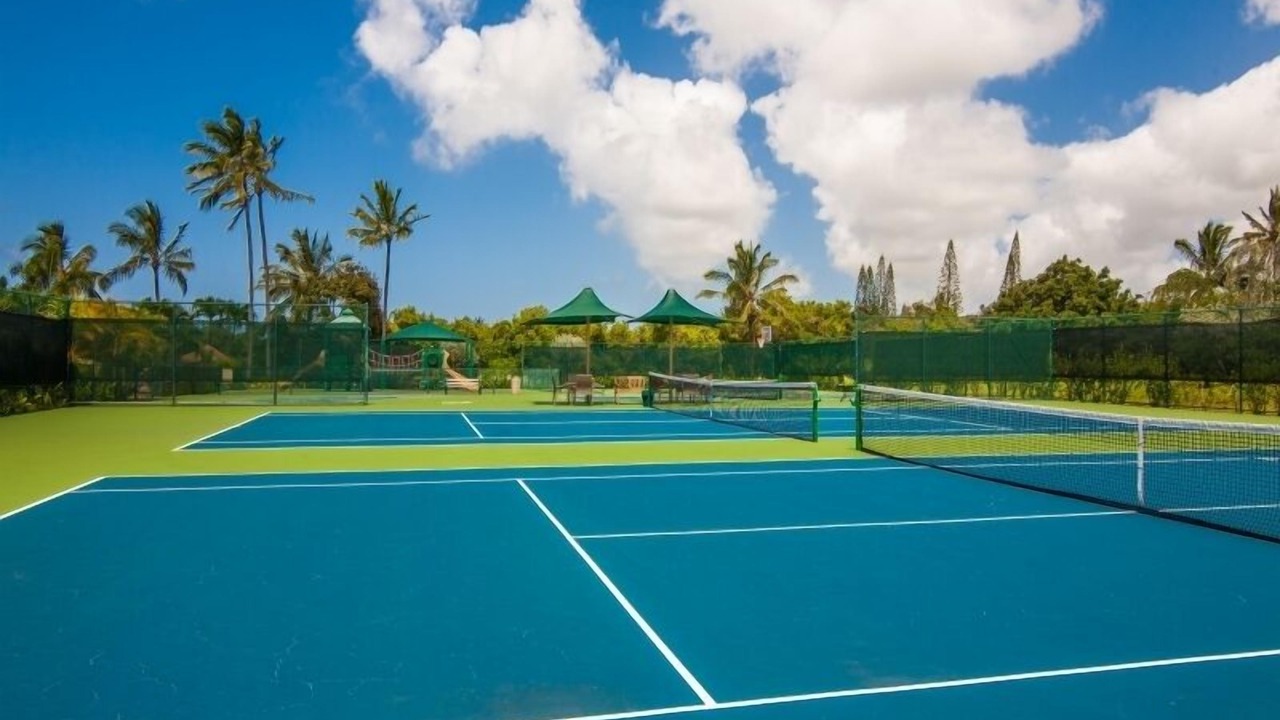 Photo of Others in Princeville