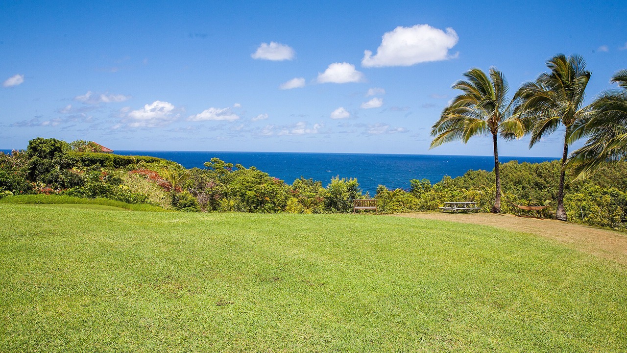 Photo of Others in Princeville