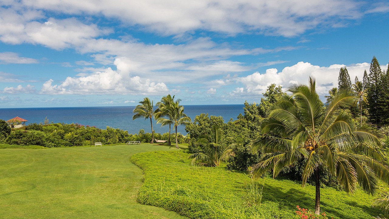 Photo of Others in Princeville