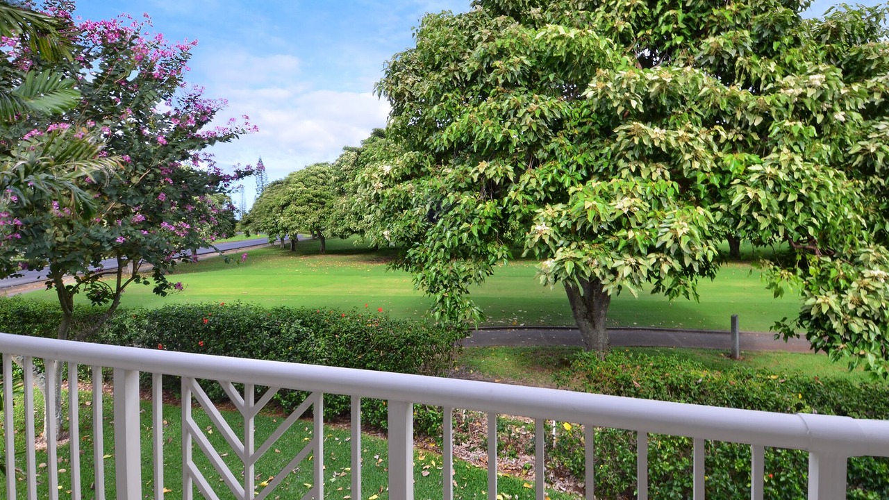 Photo of Others in Princeville