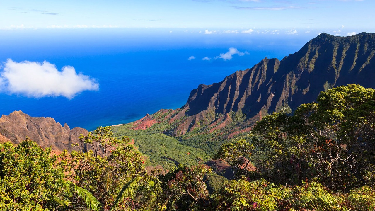 Photo of Others in Princeville