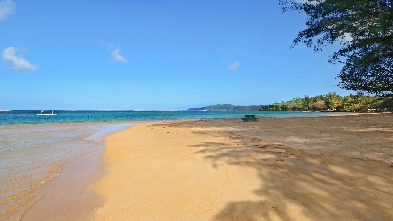 Photo of Others in Princeville