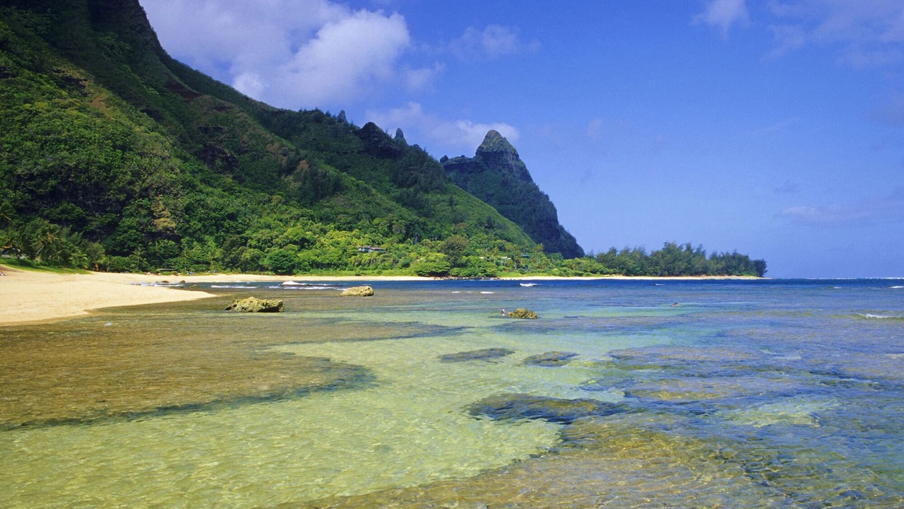 Photo of Others in Princeville