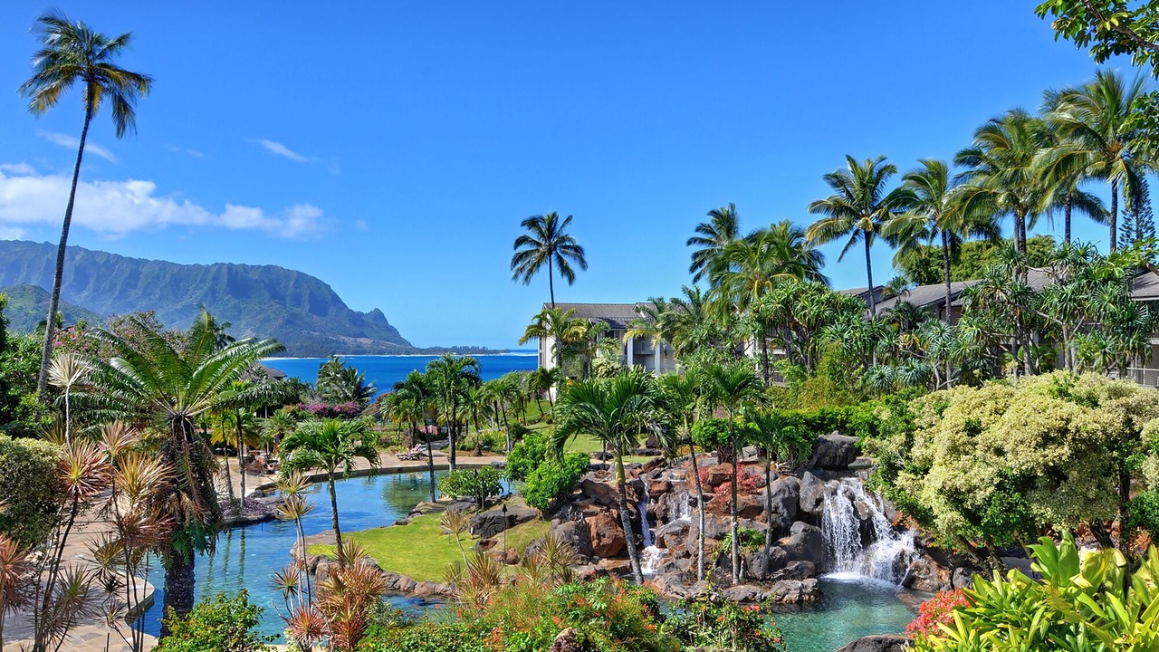 Photo of Others in Princeville