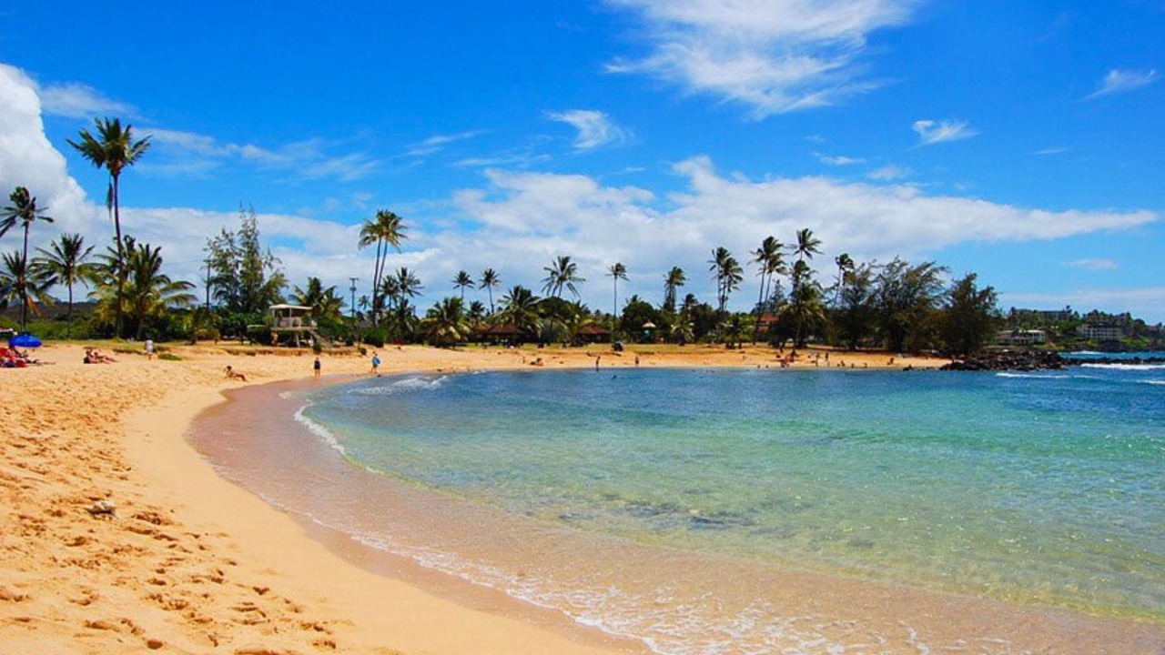 Photo of Others in Poipu
