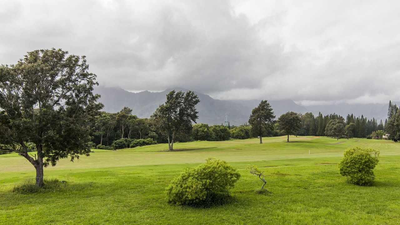 Photo of Others in Princeville