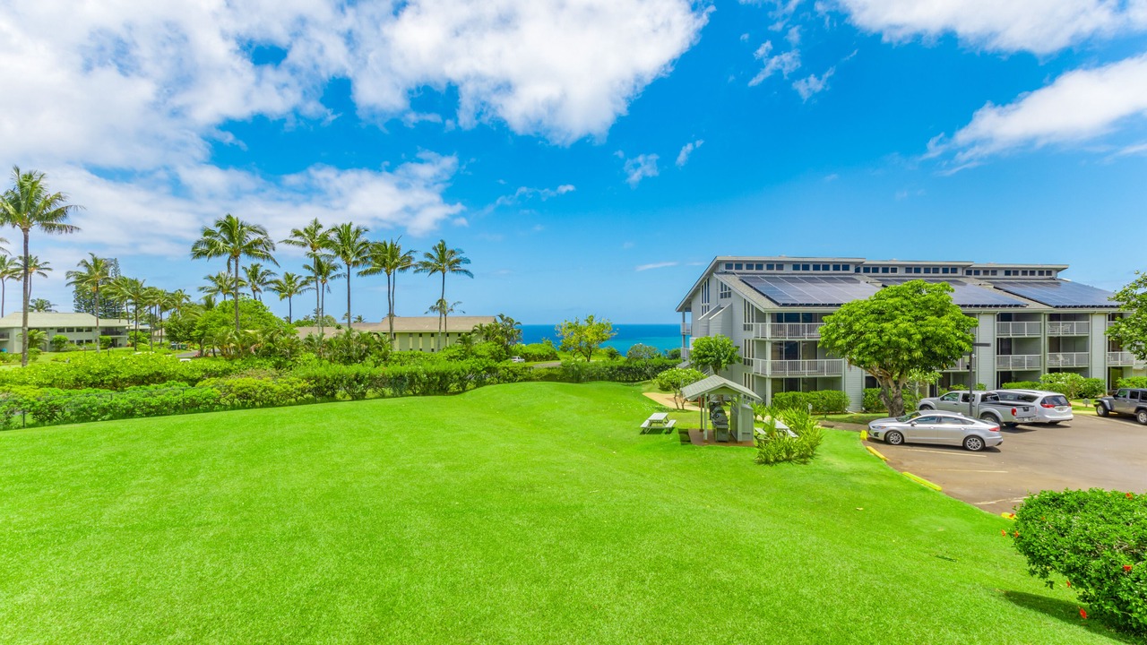 Photo of Others in Princeville