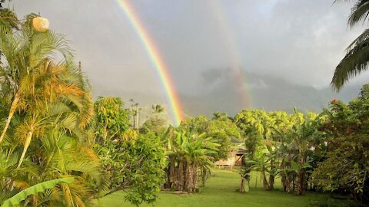 Photo of Others in Hanalei