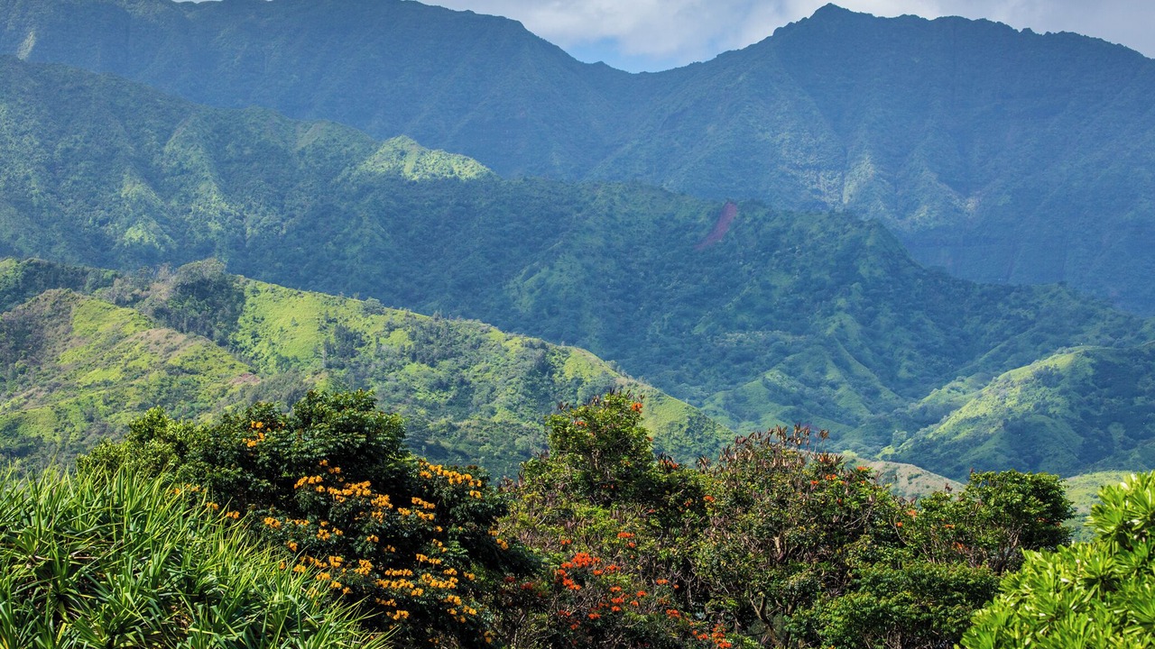 Photo of Others in Hanalei