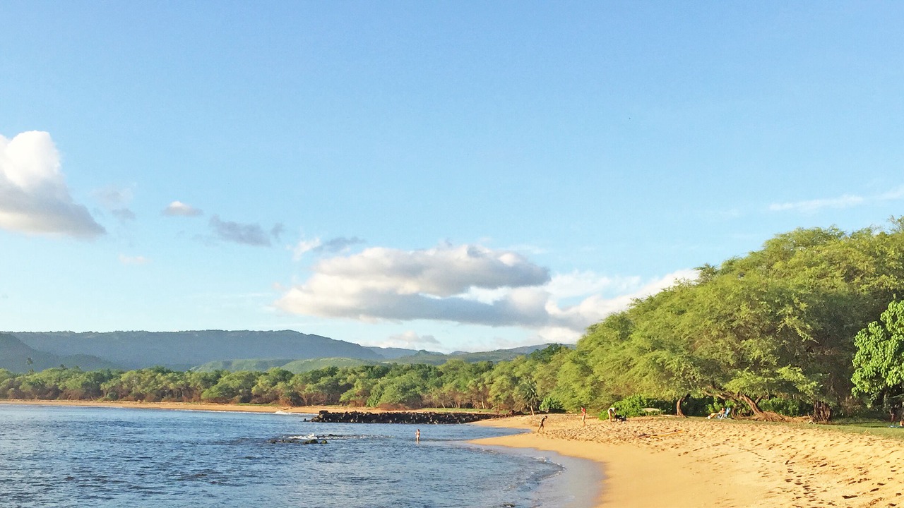 Photo of Others in Kekaha