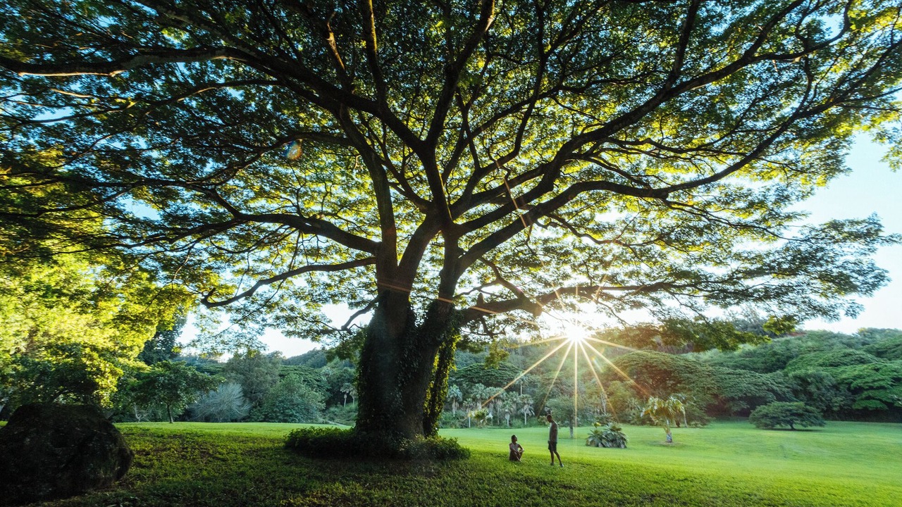 Photo of Outdoor in Kekaha