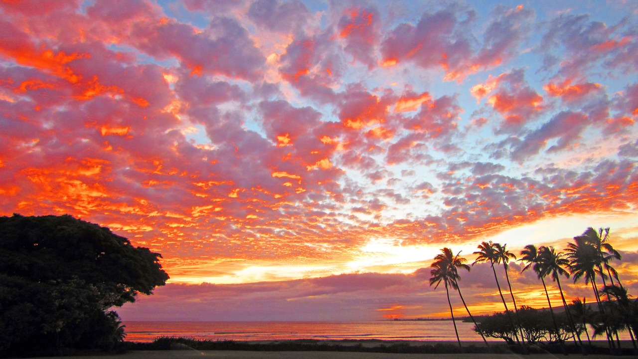 Photo of Others in Kekaha