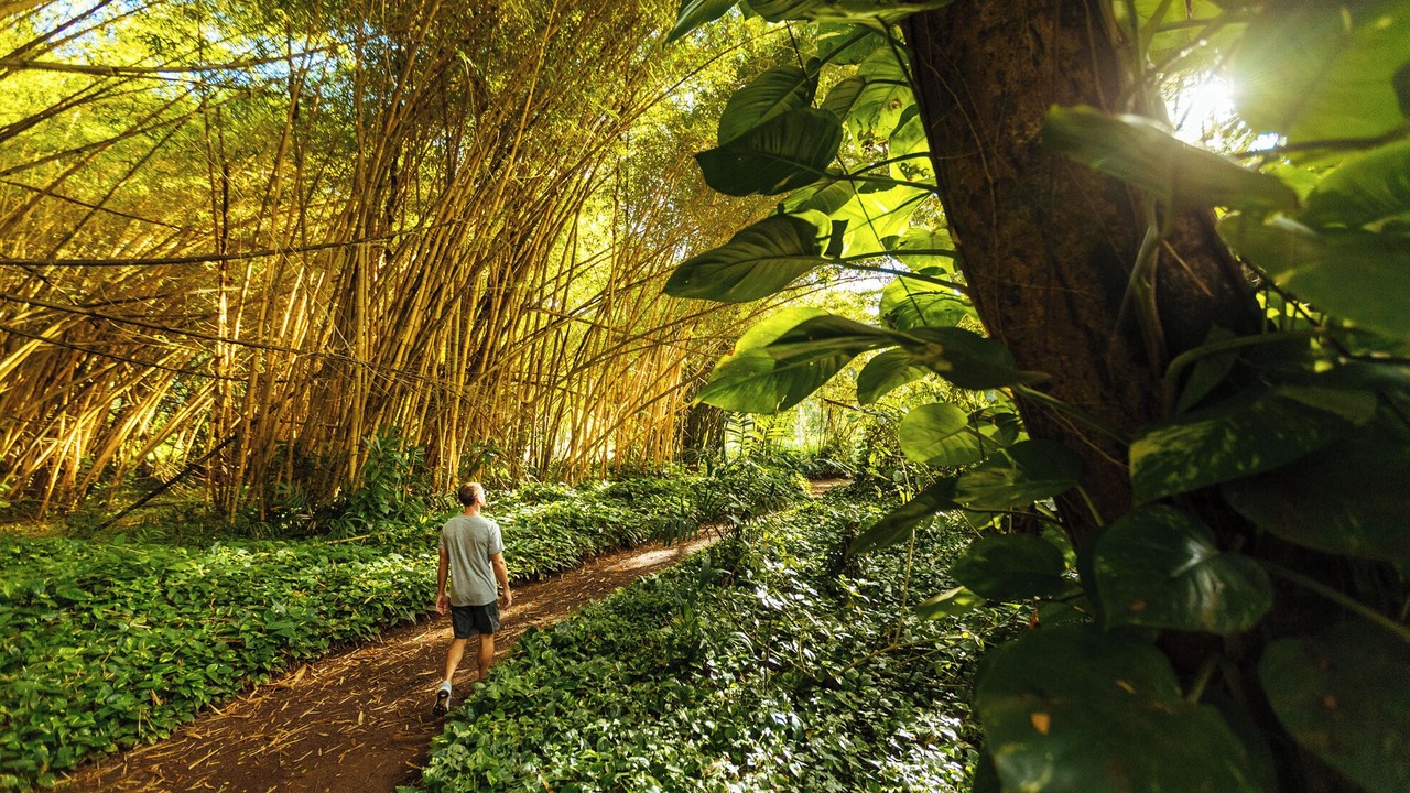 Photo of Outdoor in Kekaha