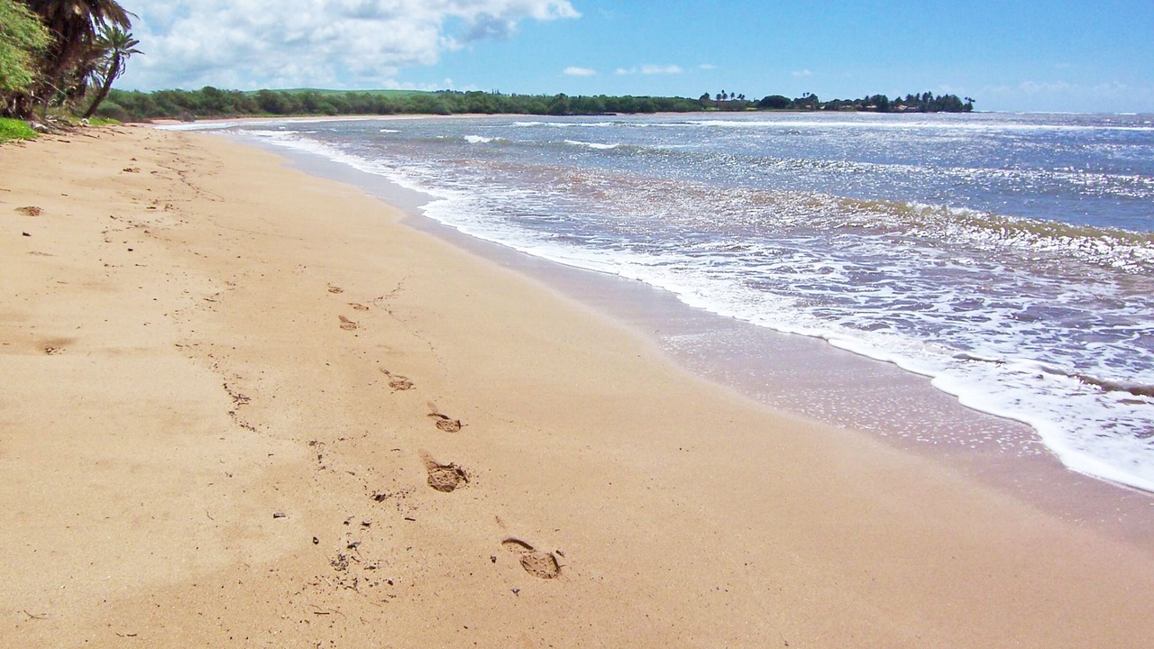 Photo of Others in Kekaha