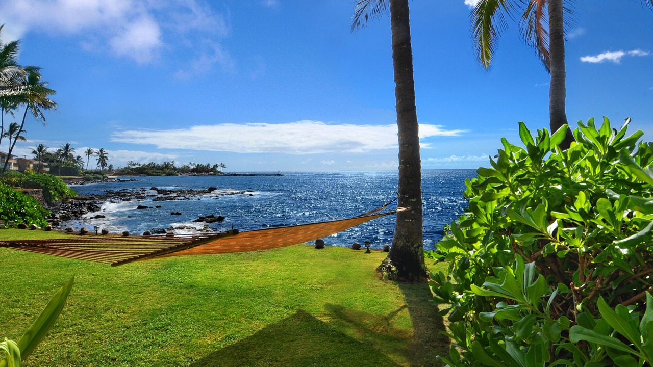 Photo of Others in Poipu