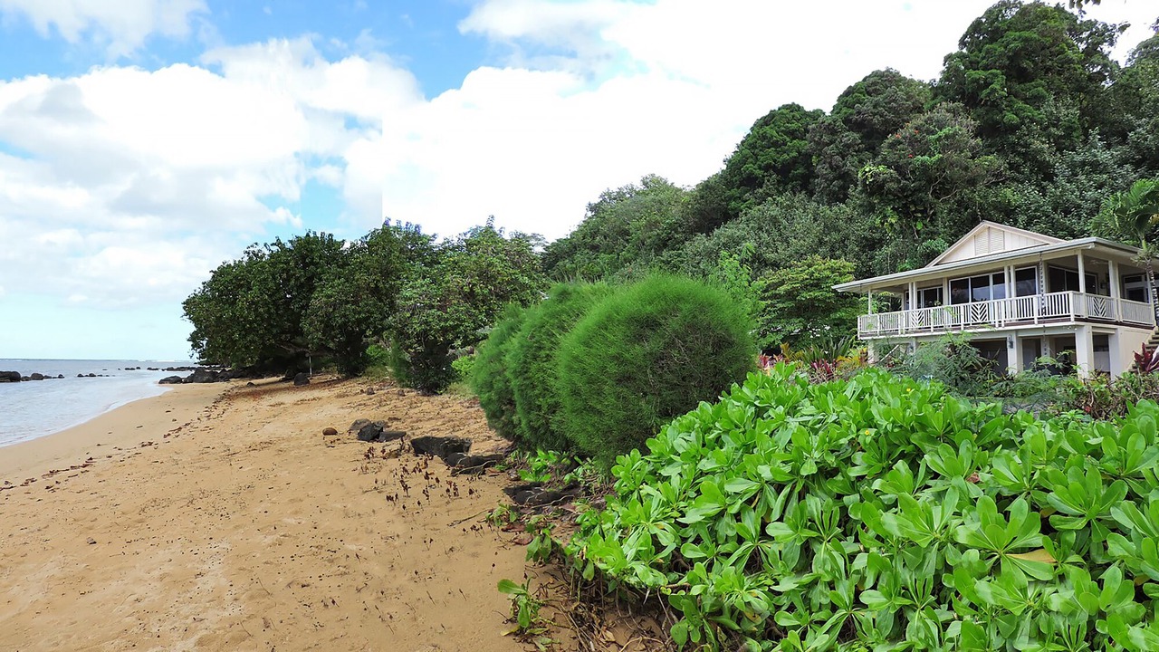 Photo of Others in Kilauea