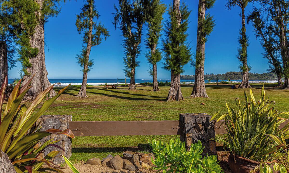 Photo of Others in Hanalei