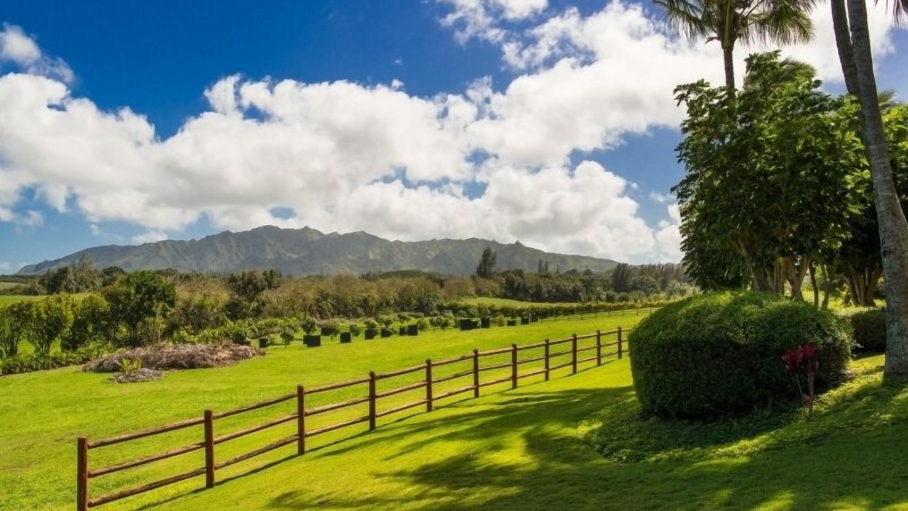Photo of Outdoor in Kilauea