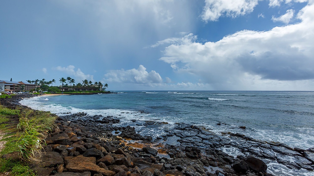 Photo of Others in Poipu
