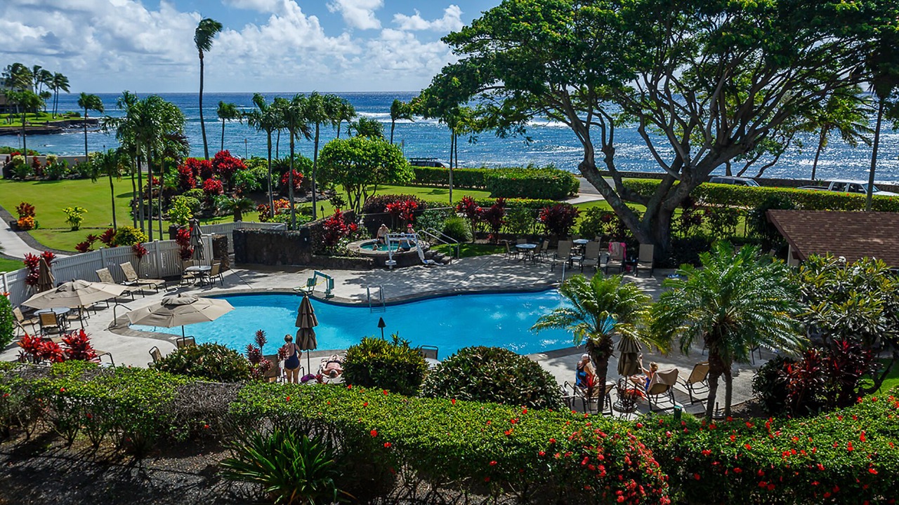 Photo of Others in Poipu