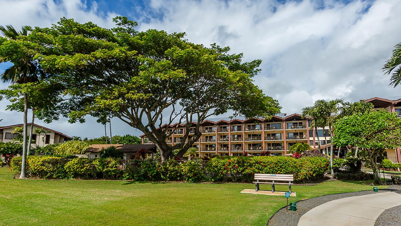 Photo of Others in Poipu