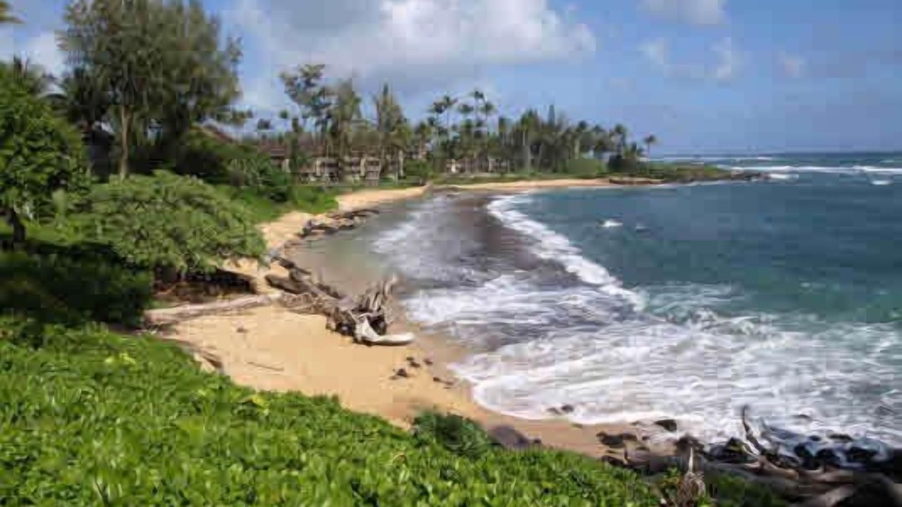 Photo of Others in Wailua House Lots