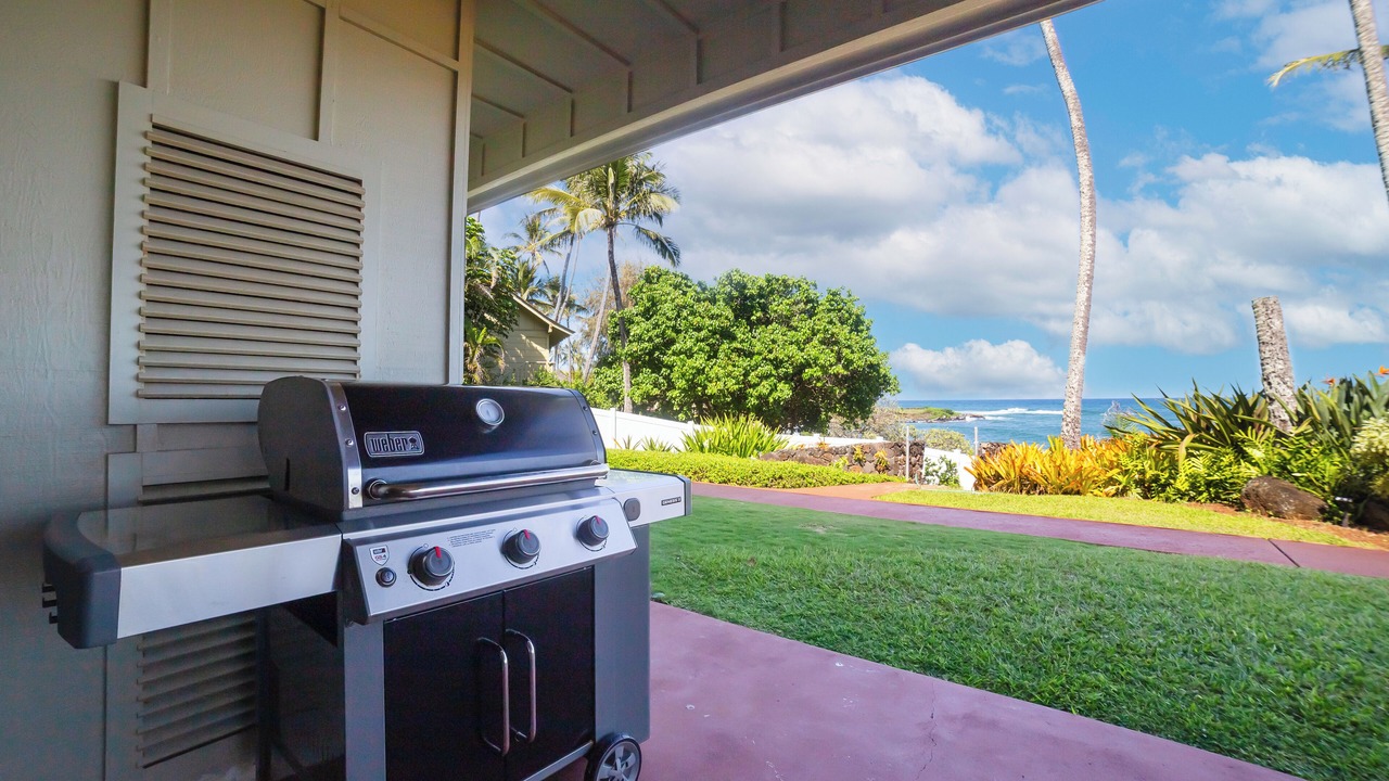 Photo of Others in Wailua House Lots