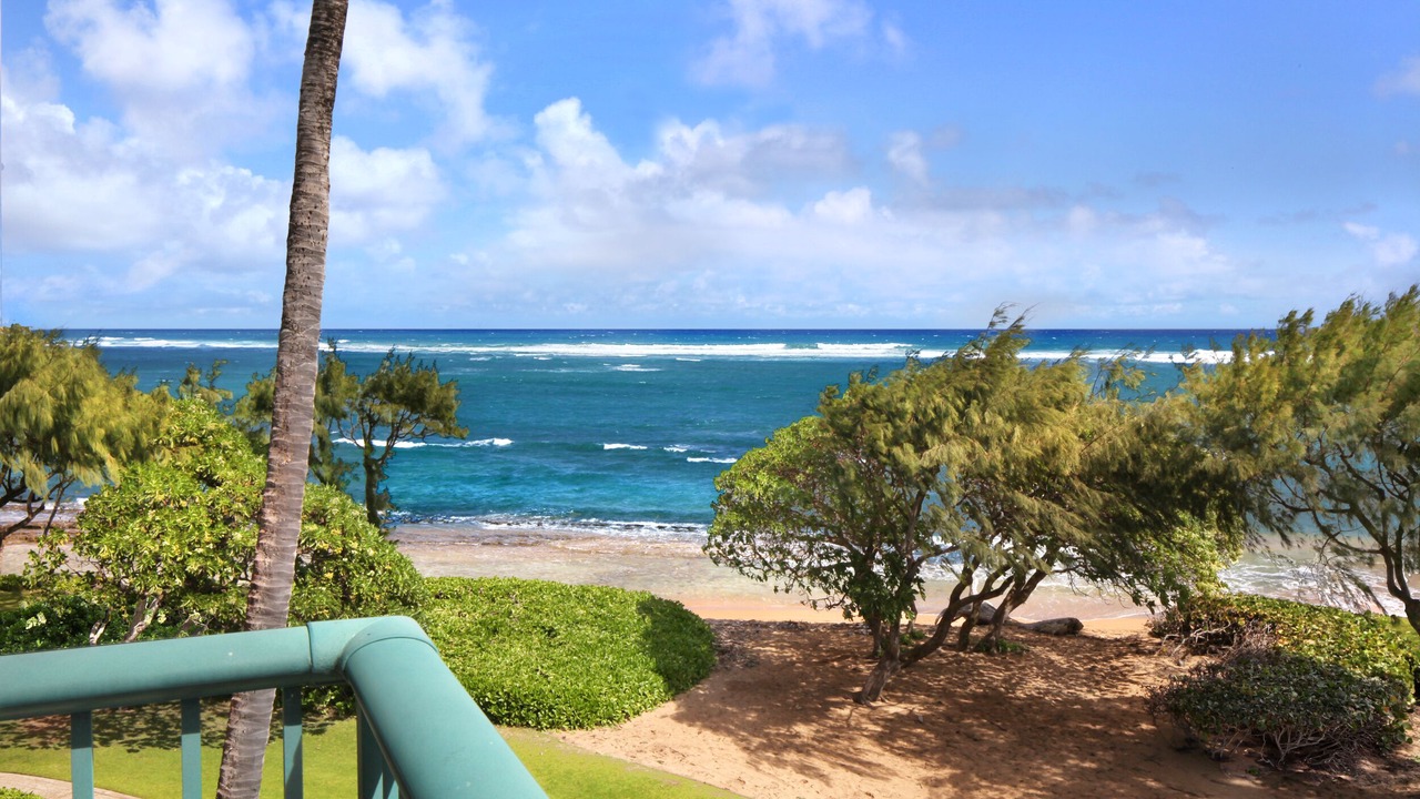 Photo of Others in Wailua
